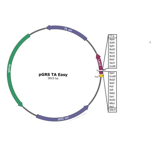 Cloning Kits