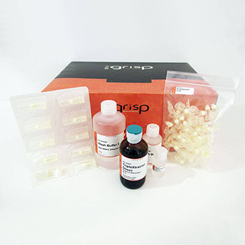 DNA & RNA Purification Kits
