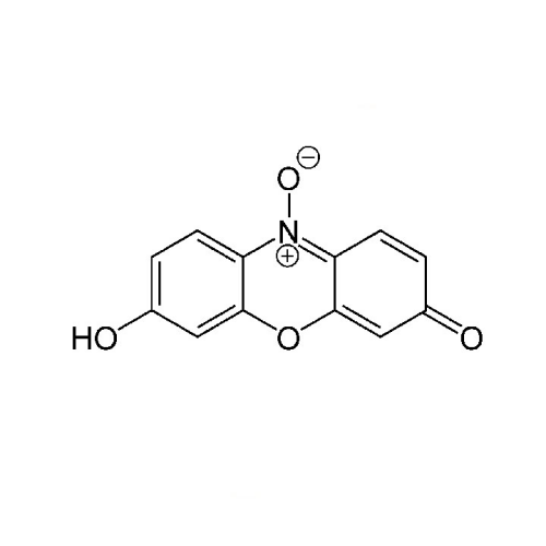 Cell Viability Assays