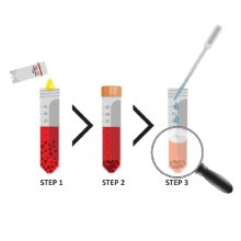 happy-cell-inactivation-solution-protocol